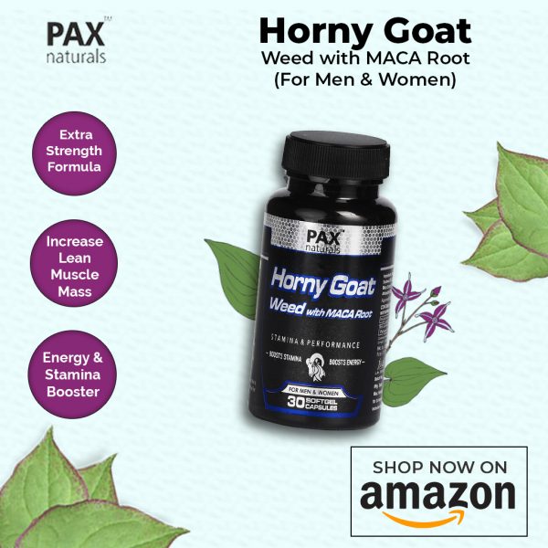 Sexual Wellness Products In India