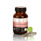 Giloy-Immunity wellness 60 Veg Capsules, Herbals & Ayurvedic, Immunity Booster, Great Anti-aging Property, Health and Wellness with 2X Immunity. Herbal Products Online in India