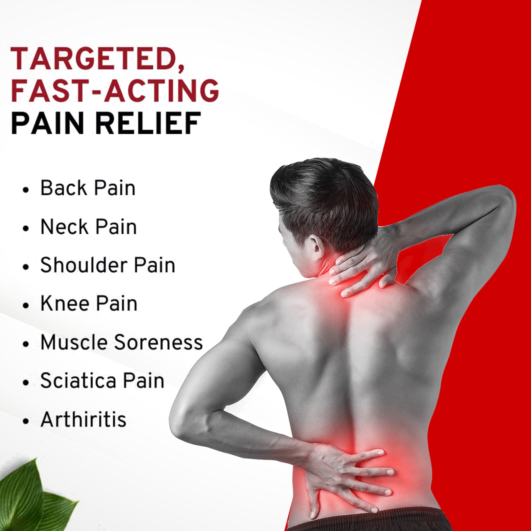 Paxnaturals Pain Relief Spray - 55g Suitable for Back Pain, Muscle Pain, Joint Pain, Knee Pain